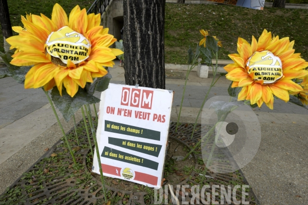 Manifestation contre Monsanto le 12 octobre 2013