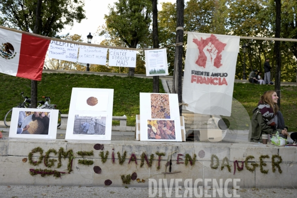 Manifestation contre Monsanto le 12 octobre 2013