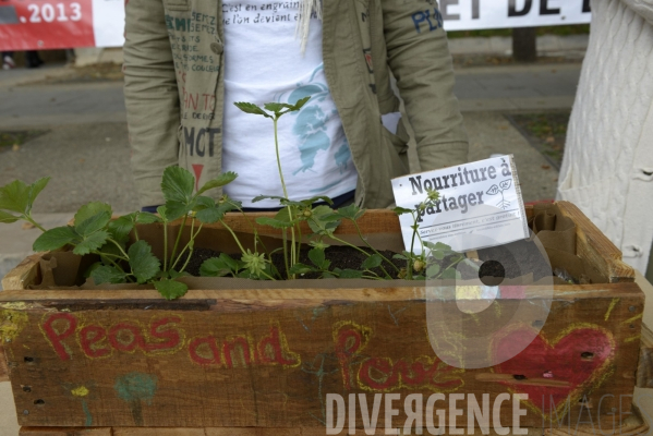 Manifestation contre Monsanto le 12 octobre 2013