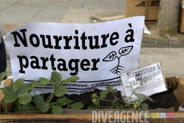 Manifestation contre Monsanto le 12 octobre 2013