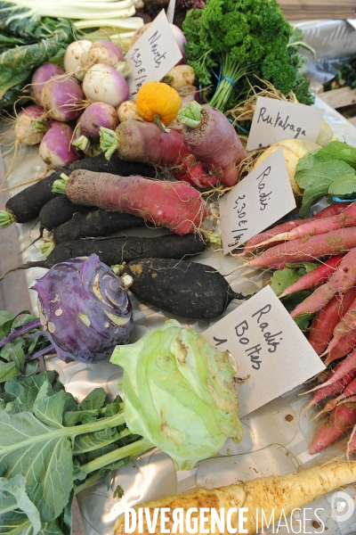 Commerce illustration.Au marché, légumes rares ou anciens en agriculture biologique