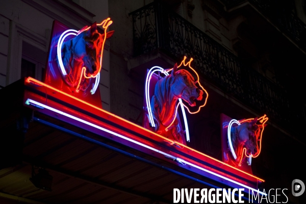 Commerce illustration.Neons eclaires en forme de têtes de cheval, enseigne d une boucherie chevaline.