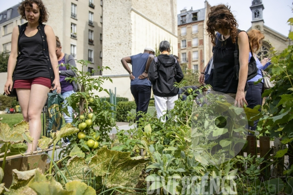 Les Incroyables Comestibles Paris