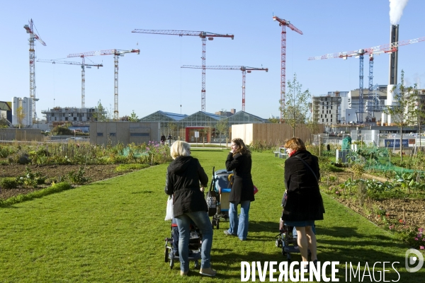 L ecoquartier des Docks de Saint Ouen.Le jardin partage du parc urbain de 12 hectares