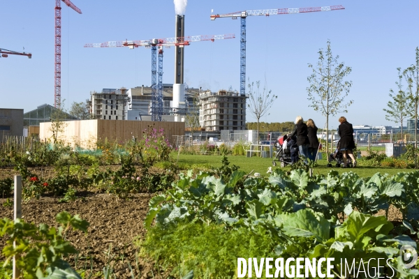 L ecoquartier des Docks de Saint Ouen.Le jardin partage du parc urbain de 12 hectares