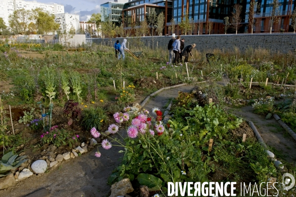 L ecoquartier des Docks de Saint Ouen.Le jardin partage du parc urbain de 12 hectares