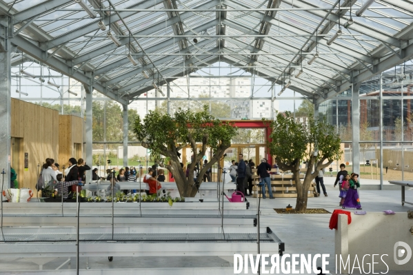 L ecoquartier des Docks de Saint Ouen.Animation pour les enfants dans la grande serre pédagogique du parc urbain