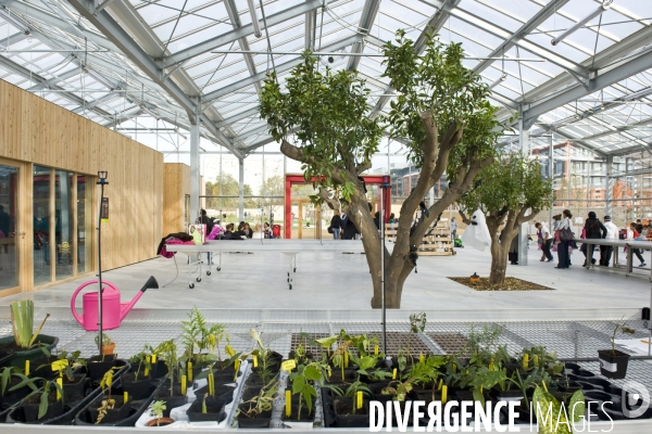 L ecoquartier des Docks de Saint Ouen.Animation pour les enfants dans la grande serre pédagogique du parc urbain