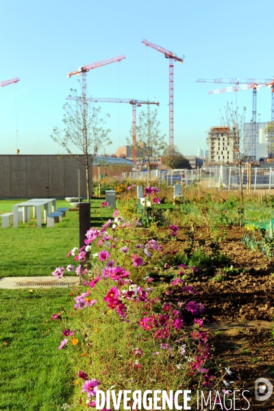 L ecoquartier des Docks de Saint Ouen