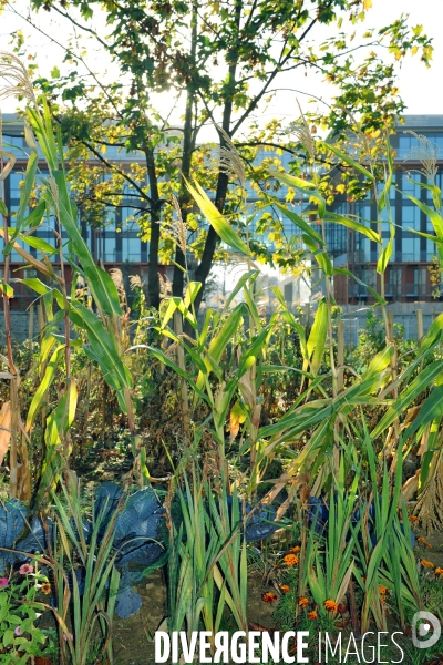 L ecoquartier des Docks de Saint Ouen