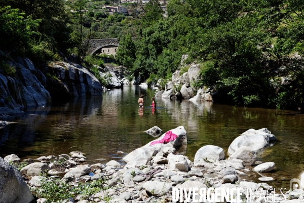 Cévennes-Eté 2013