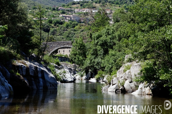 Cévennes-Eté 2013