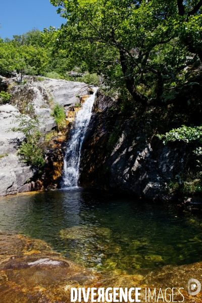 Cévennes-Eté 2013