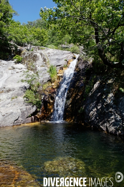 Cévennes-Eté 2013