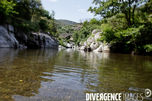 Cévennes-Eté 2013