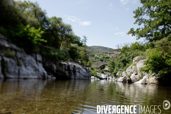 Cévennes-Eté 2013