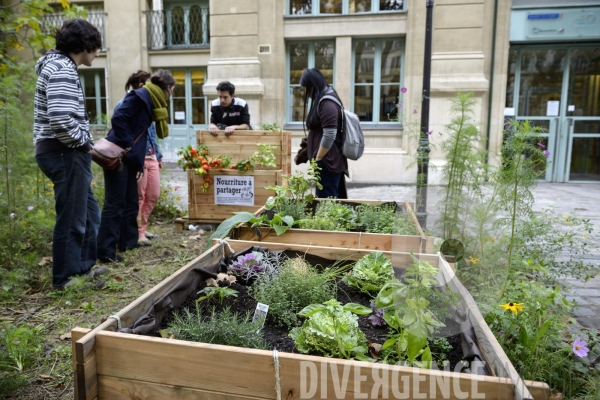Les Incroyables Comestibles Paris