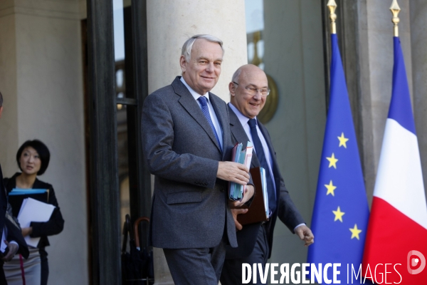 Palais de l Elysée. Conseil des ministres du 13 novembre 2013