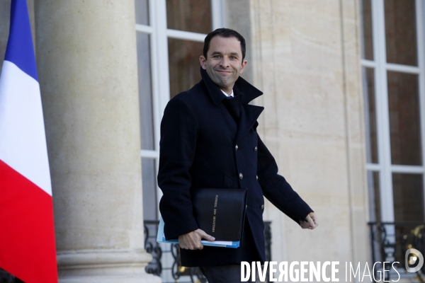 Palais de l Elysée. Conseil des ministres du 13 novembre 2013