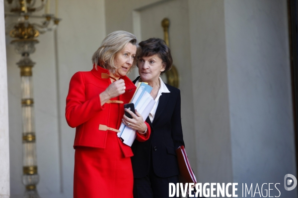 Palais de l Elysée. Conseil des ministres du 13 novembre 2013