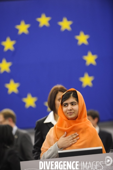 Parlement Europeen, Prix Sakharov