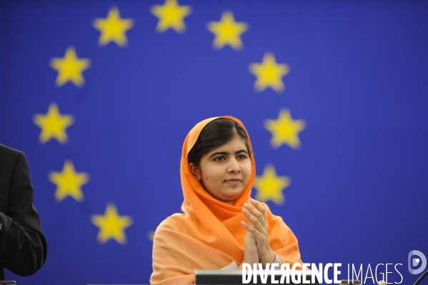 Parlement Europeen, Prix Sakharov