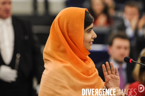 Parlement Europeen, Prix Sakharov