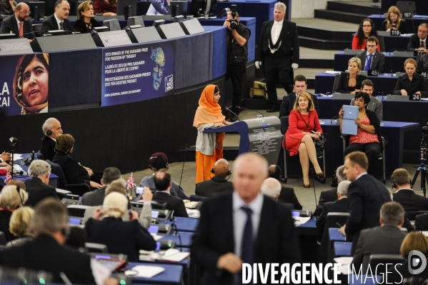 Parlement Europeen, Prix Sakharov