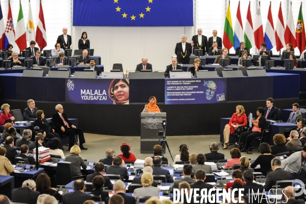 Parlement Europeen, Prix Sakharov