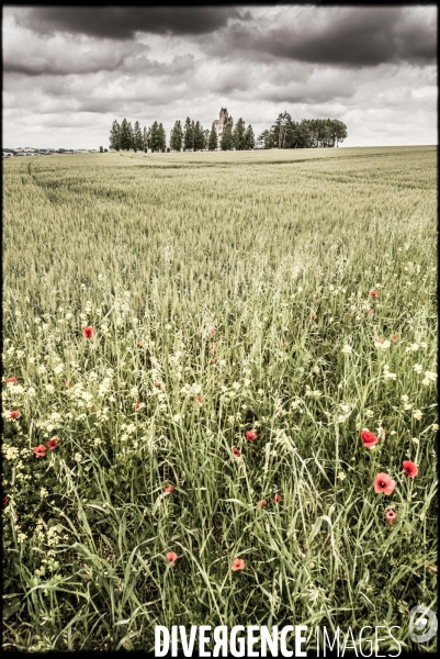 1914-1918 Bataille de la Somme, 1er juillet 1916. THIEPVAL