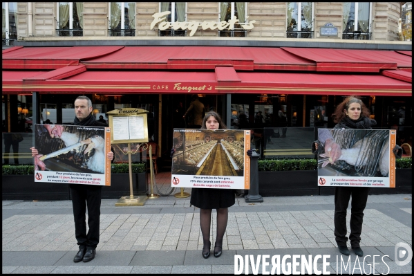 Manifestation contre le foie gras
