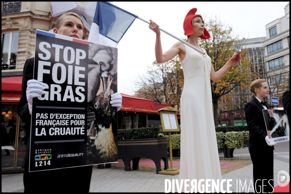 Manifestation contre le foie gras