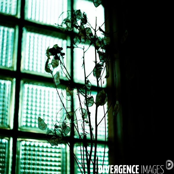 Instants Glanés # 02