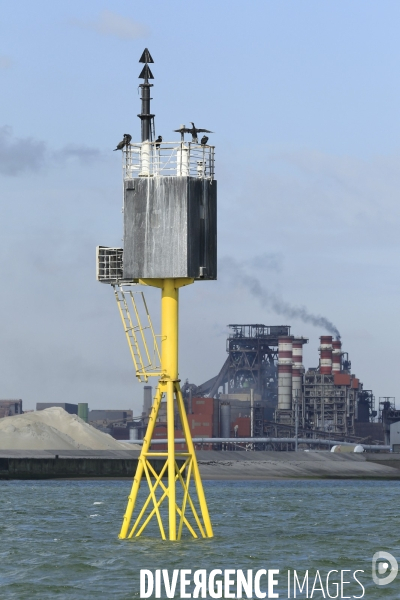 Dunkerque. Le Port industriel - Illustrations