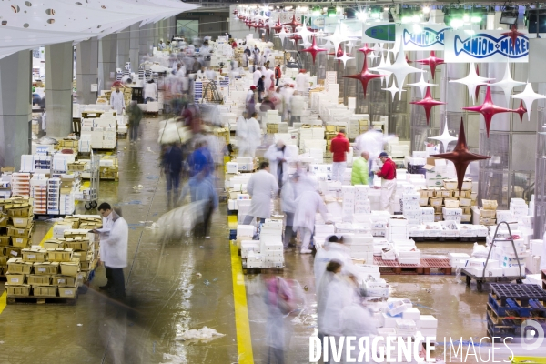 Le Marché International de Rungis, le plus grand marché du monde. la marée et les volailles en effervescence avant les fêtes de Noël.