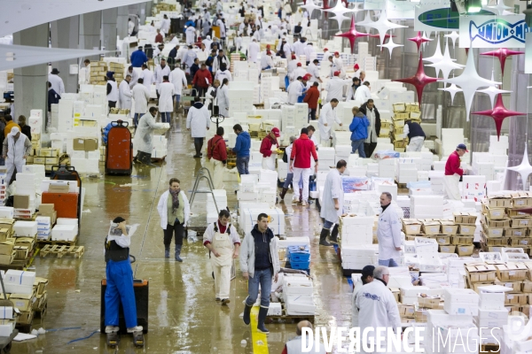 Le Marché International de Rungis, le plus grand marché du monde. la marée et les volailles en effervescence avant les fêtes de Noël.