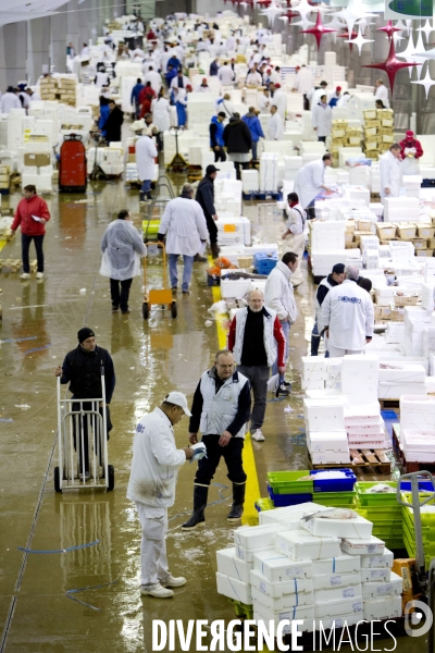 Le Marché International de Rungis, le plus grand marché du monde. la marée et les volailles en effervescence avant les fêtes de Noël.