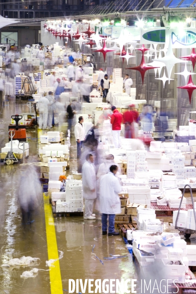 Le Marché International de Rungis, le plus grand marché du monde. la marée et les volailles en effervescence avant les fêtes de Noël.