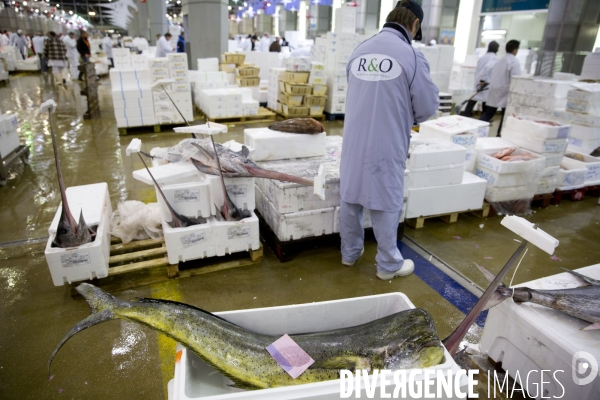 Le Marché International de Rungis, le plus grand marché du monde. la marée et les volailles en effervescence avant les fêtes de Noël.