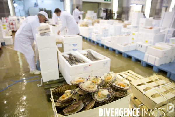 Le Marché International de Rungis, le plus grand marché du monde. la marée et les volailles en effervescence avant les fêtes de Noël.