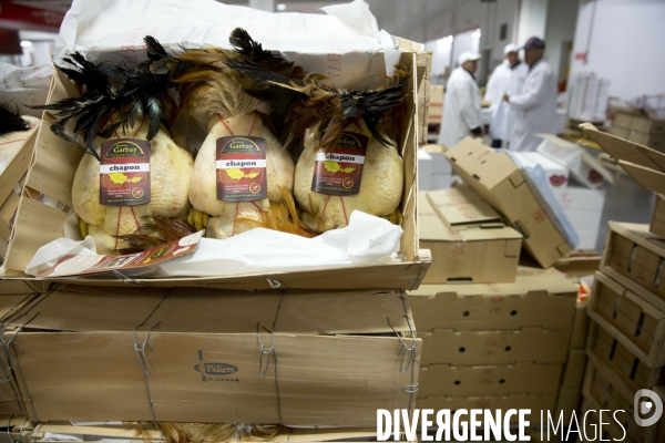 Le Marché International de Rungis, le plus grand marché du monde. la marée et les volailles en effervescence avant les fêtes de Noël.