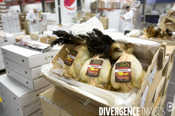 Le Marché International de Rungis, le plus grand marché du monde. la marée et les volailles en effervescence avant les fêtes de Noël.