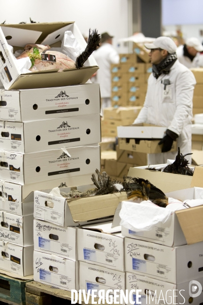 Le Marché International de Rungis, le plus grand marché du monde. la marée et les volailles en effervescence avant les fêtes de Noël.