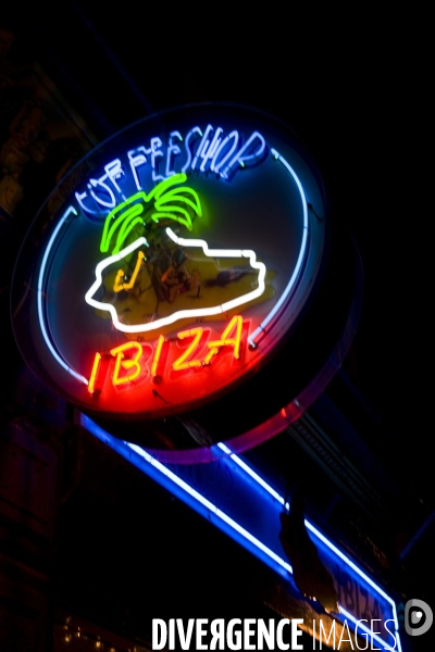 Pays - Bas  illustration - Décembre 2013.Ibiza, le neon d un coffeshop dans le quartier du Pijp.