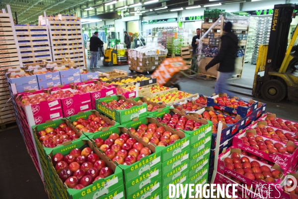 Le Marché International de Rungis, le plus grand marché du monde. La boucherie, les fruits et légumes et le marché aux fleurs.
