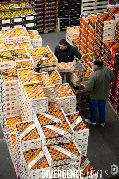Le Marché International de Rungis, le plus grand marché du monde. La boucherie, les fruits et légumes et le marché aux fleurs.
