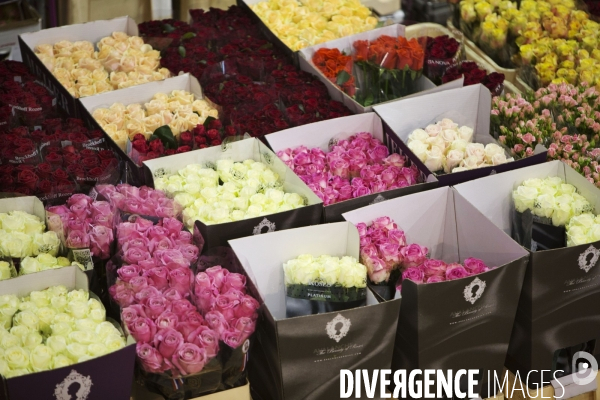Le Marché International de Rungis, le plus grand marché du monde. La boucherie, les fruits et légumes et le marché aux fleurs.