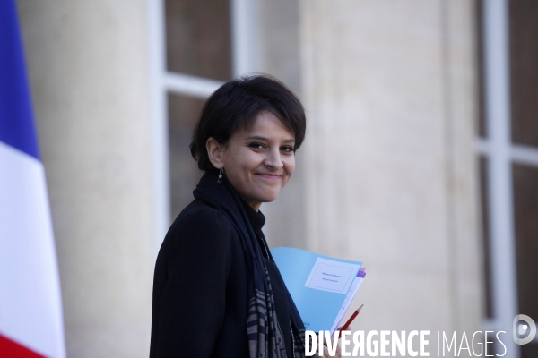 Conseil des ministres du 11 décembre 2013