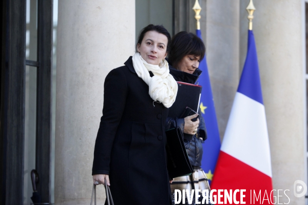 Conseil des ministres du 11 décembre 2013