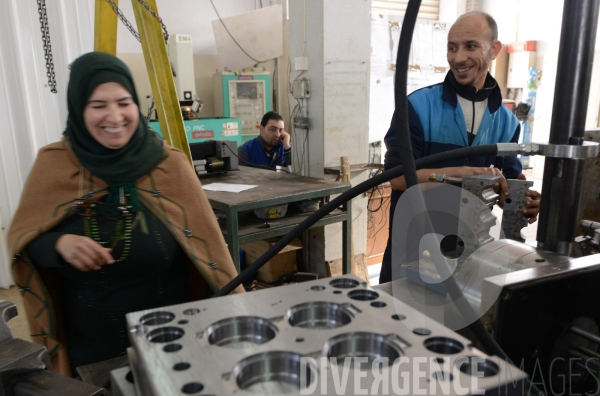 Paroles de Tunisiennes. Femmes tunisiennes exerçants des responsabilités, dirigeantes d entreprises